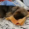 luxiprztv