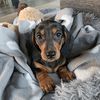 penny.everest