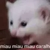 mahhhasaya