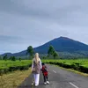 evaresty