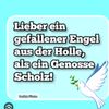 harfe1979