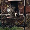 rylee_backup1