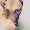 attackkanachslaykanach
