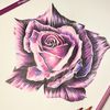 🎨Inspire The Colour✍️