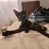 farofa_yoki_bacon