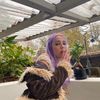 lilylilylilylilypad