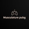 musculatureyt