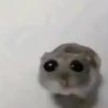 snazzyzazzyzaz