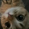 sandritaaaa_4