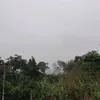 gracinha_anticapitalista