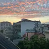 aneegnz_