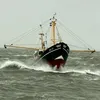 thijmen.0595