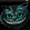 tomer_910