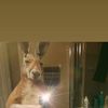 videos_sad27.0