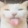 khenkleekewt