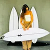 kiany_hyakutake