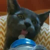 katrina_lasyk