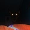 rosie_roe_cute_xd