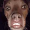 dantejamee