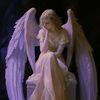 fllnfaeangel
