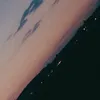 fynnmr