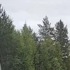 janikauhajarvi