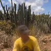 pedronavz