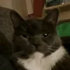emskupemppu