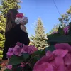 xxmelciaqxx