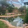 rawan3abdallah