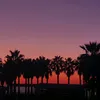 xxvodkaxx_17