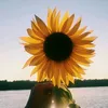 duda_princesa