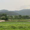 ngocbaolinh105
