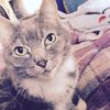 gabby_090804