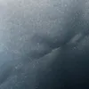 lopus589