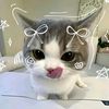 little.illa