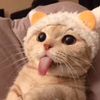 letmedobbyinaditch