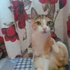 milena3cat