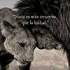 racama2