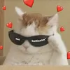 il_gatto_terrorista