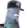 user03byziucm3