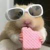xwika_1