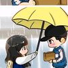 mamel_imsol
