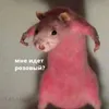 chahotochnaya