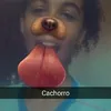lucimarcarvalho1