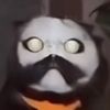 funnyjesusguy