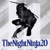 thenightninja20