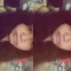 lavain_lav