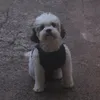 julialbuqrk_