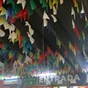 dudac195